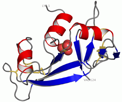 Image Asym./Biol. Unit - manually