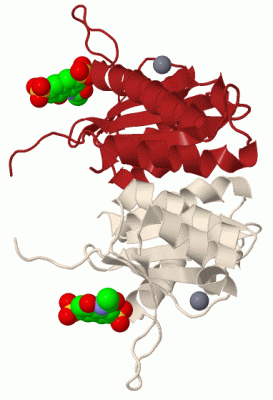 Image Biol.Unit 1 - manually