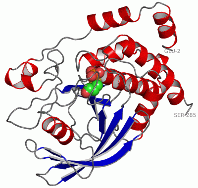 Image Asym./Biol. Unit - manually