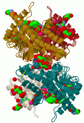 Image Biol.Unit 1 - manually