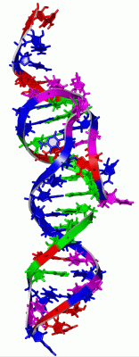Image NMR Structure - manually