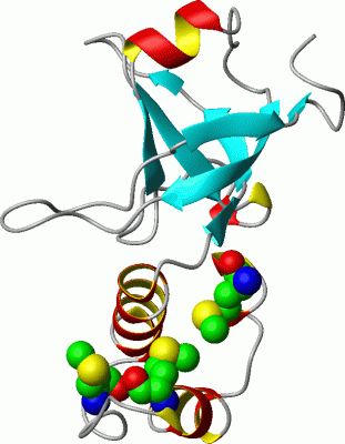 Image Asym./Biol. Unit - manually