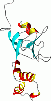 Image NMR Structure - manually