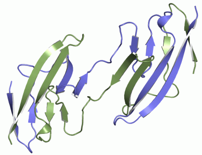 Image Asym./Biol. Unit - manually