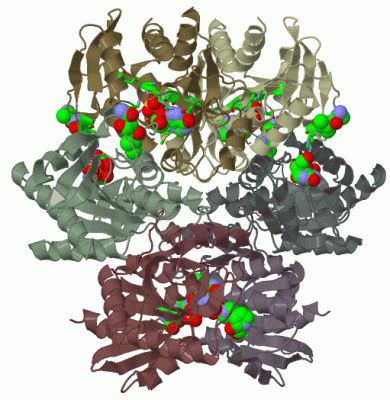 Image Biol.Unit 1 - manually