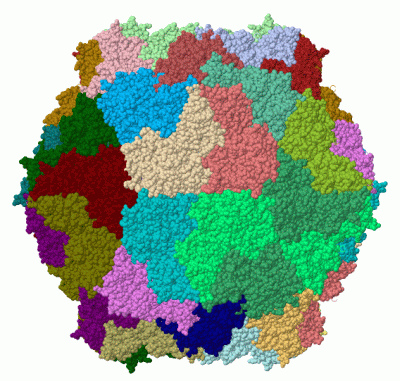 Image Biol.Unit 1 - manually