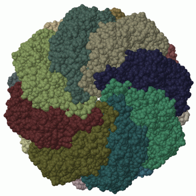 Image Biol.Unit 1 - manually