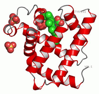 Image Asym./Biol. Unit - manually