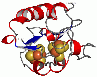 Image Asym./Biol. Unit - manually