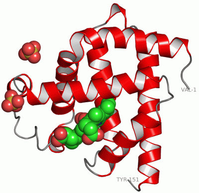 Image Asym./Biol. Unit - manually