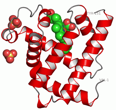 Image Asym./Biol. Unit - manually