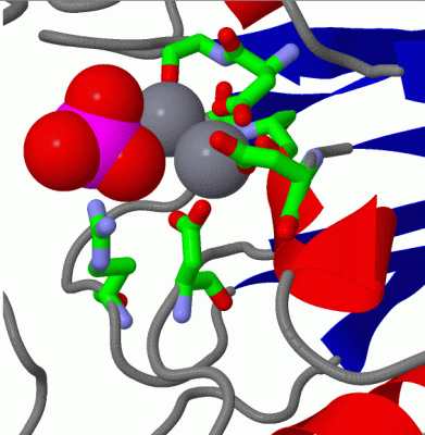 Image Asym./Biol. Unit - manually