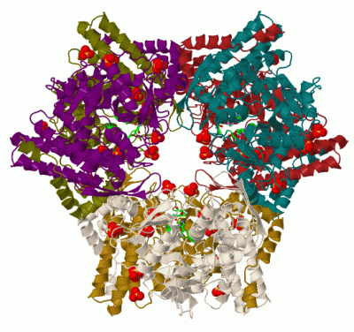 Image Biol.Unit 1 - manually