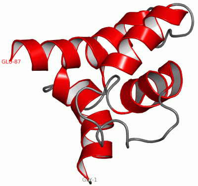 Image NMR Structure - manually