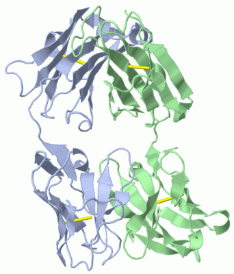 Image Biol.Unit 1 - manually
