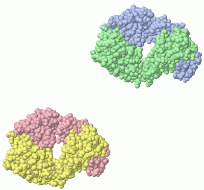 Image Asym.Unit - manually