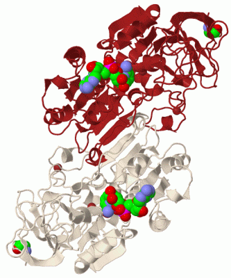 Image Biol.Unit 1 - manually