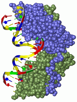 Image Asym./Biol. Unit - manually