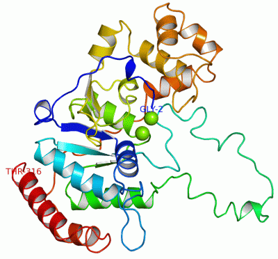 Image Asym./Biol. Unit - manually