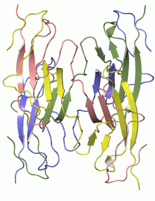 Image Asym.Unit - manually