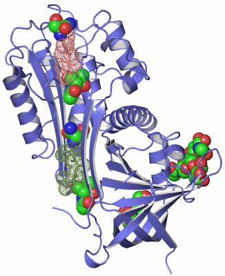 Image Asym./Biol. Unit - manually