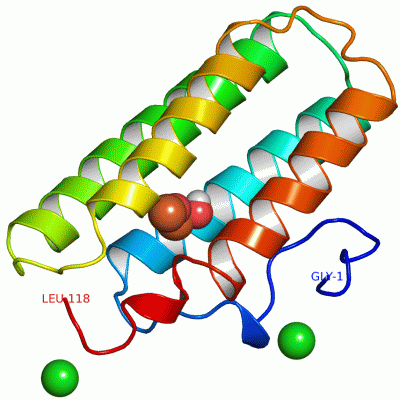 Image Asym./Biol. Unit - manually