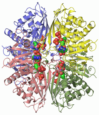 Image Asym./Biol. Unit - manually