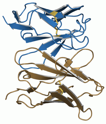 Image Asym./Biol. Unit - manually