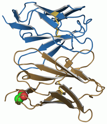 Image Asym./Biol. Unit - manually