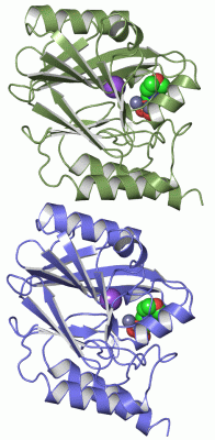 Image Asym./Biol. Unit - manually