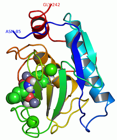 Image Asym./Biol. Unit - manually