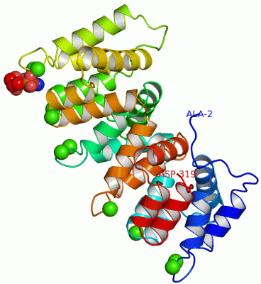 Image Asym./Biol. Unit - manually