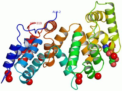 Image Asym./Biol. Unit - manually