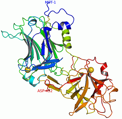 Image Asym./Biol. Unit - manually