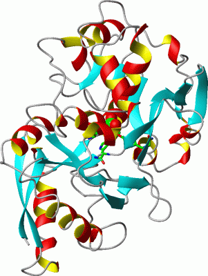 Image Asym./Biol. Unit - manually