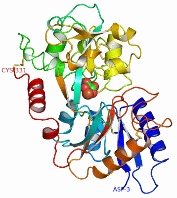 Image Asym./Biol. Unit - manually