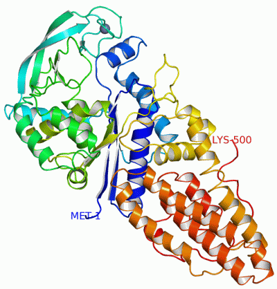 Image Asym./Biol. Unit - manually