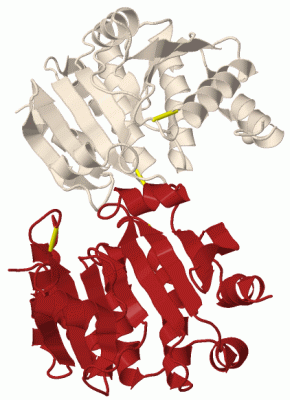 Image Biol.Unit 1 - manually