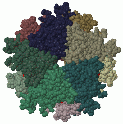 Image Biol.Unit 1 - manually