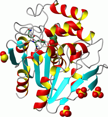 Image Asym.Unit - manually