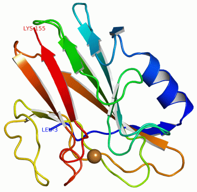 Image Asym./Biol. Unit - manually