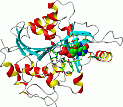 Image Asym.Unit - manually