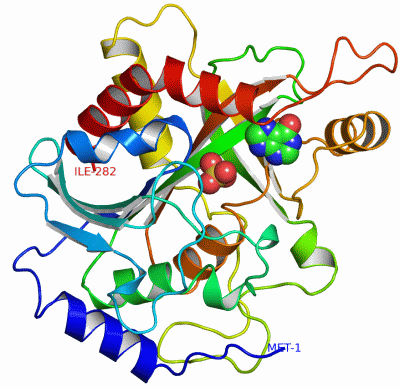 Image Asym.Unit - manually