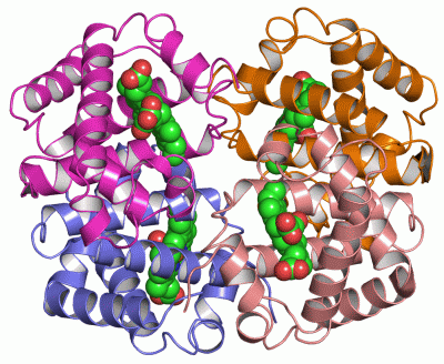 Image Asym./Biol. Unit - manually