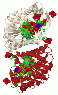 Image Biol.Unit 1 - manually