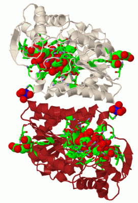 Image Biol.Unit 1 - manually