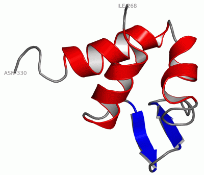 Image NMR Structure - manually