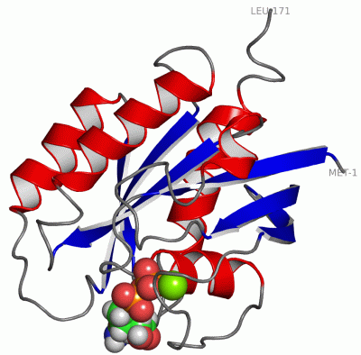 Image NMR Structure - manually