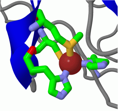 Image Asym./Biol. Unit - manually