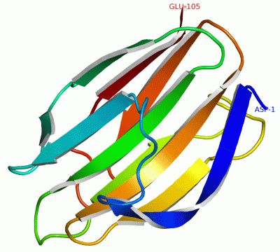 Image Asym./Biol. Unit - manually